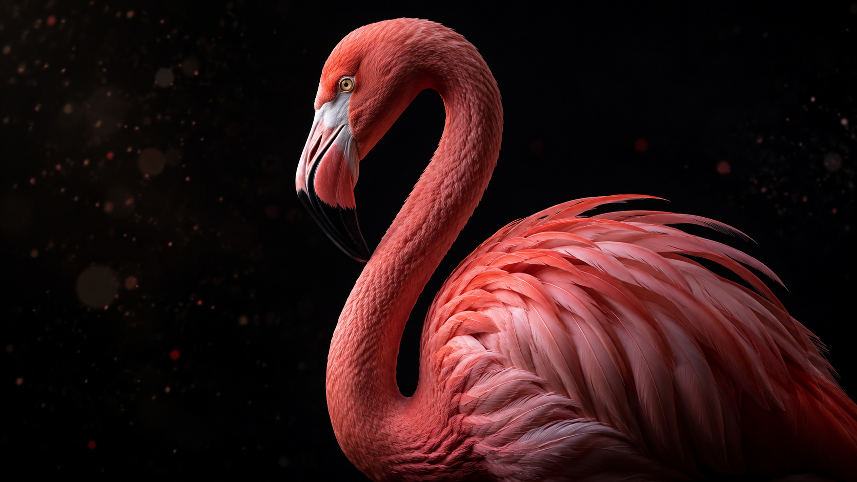 A single vivid pink flamingo in profile against a deep black background, dramatic fine-art studio lighting highlighting its coral plumage and curved neck.